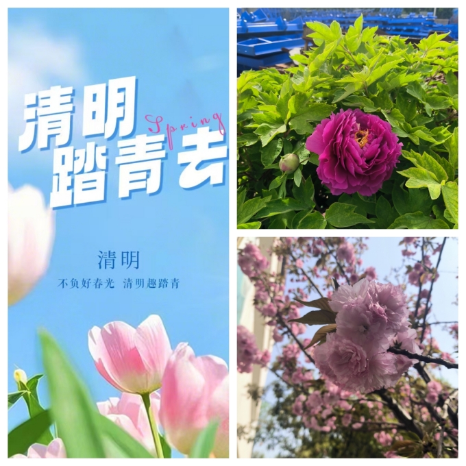 清明節，去踏春吧
